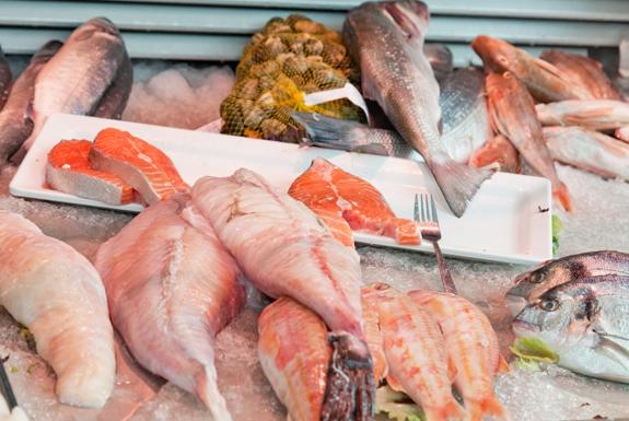 Frischer Fisch | Nautisch Centrum Scheveningen